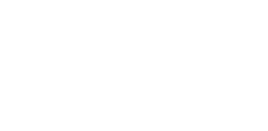 Supplier Diversity