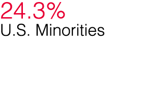 24 3% U S  Minorities
