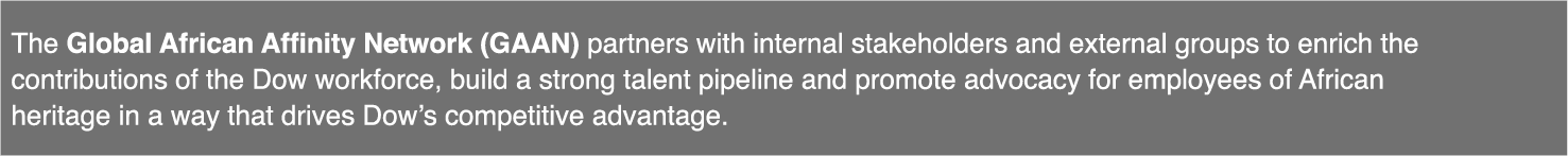 The Global African Affinity Network (GAAN) partners with internal stakeholders and external groups to enrich the cont   