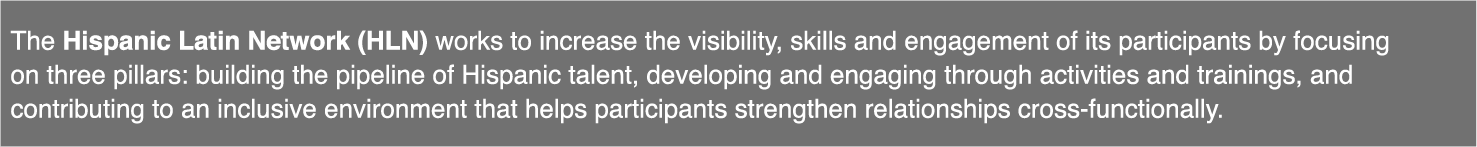 The Hispanic Latin Network (HLN) works to increase the visibility, skills and engagement of its participants by focus   