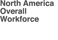 North America Overall Workforce