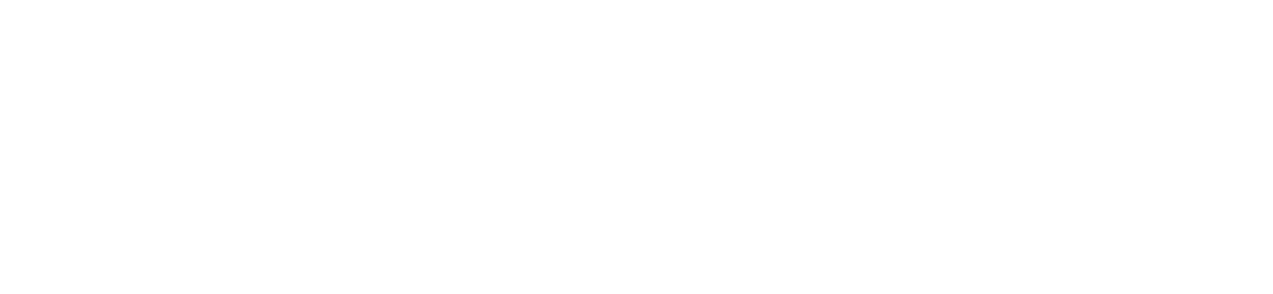  I have been actively engaged in Asian Diversity Network (AND) for the last 10 years, and it has provided me with the   