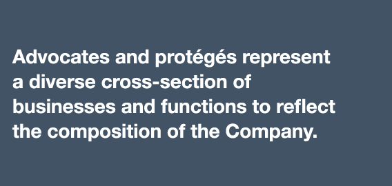 Advocates and prot g s represent a diverse cross-section of businesses and functions to reflect the composition of th   