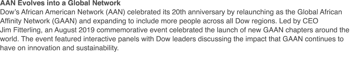AAN Evolves into a Global Network Dow s African American Network (AAN) celebrated its 20th anniversary by relaunching   