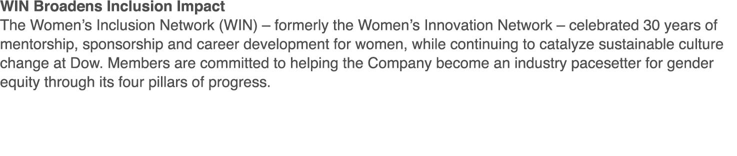 WIN Broadens Inclusion Impact The Women s Inclusion Network (WIN)   formerly the Women s Innovation Network   celebra   