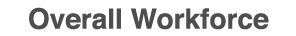Overall Workforce