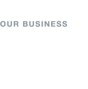 Our Business Company Highlights