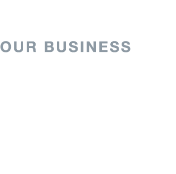   Our Business Company Highlights