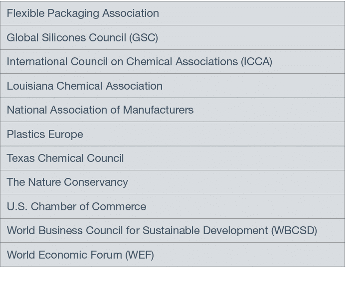 Flexible Packaging Association,Global Silicones Council (GSC),International Council on Chemical Associations (ICCA),L   