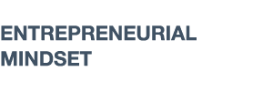 ENTREPRENEURIAL MINDSET