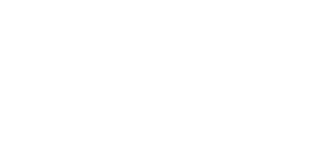 Consumer Solutions