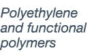 Polyethylene and functional polymers 