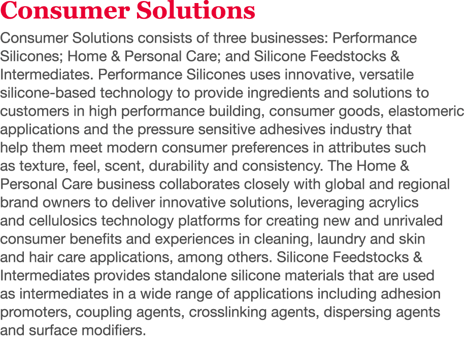 Consumer Solutions Consumer Solutions consists of three businesses: Performance Silicones; Home & Personal Care; and    