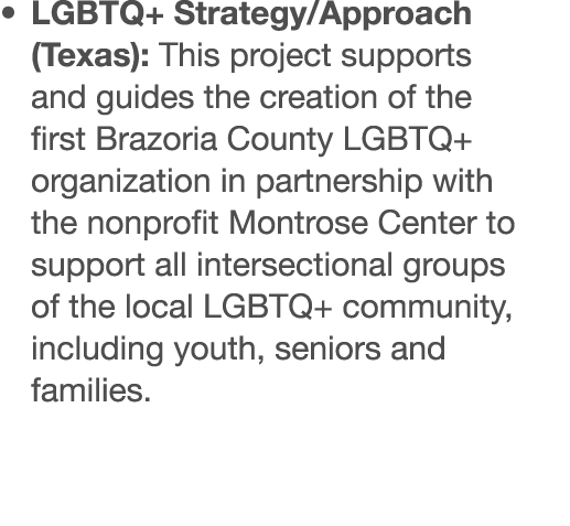   LGBTQ+ Strategy Approach (Texas): This project supports and guides the creation of the first Brazoria County LGBTQ+   