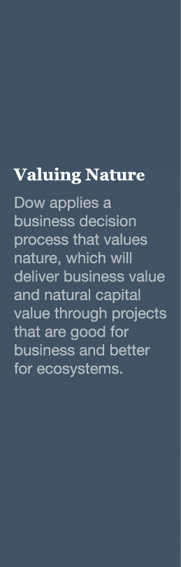 Valuing Nature Dow applies a business decision process that values nature, which will deliver business value and natu   