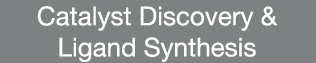 Catalyst Discovery & Ligand Synthesis 