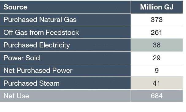Source,Million GJ,Purchased Natural Gas ,373,Off Gas from Feedstock,261,Purchased Electricity ,38,Power Sold,29,Net P   