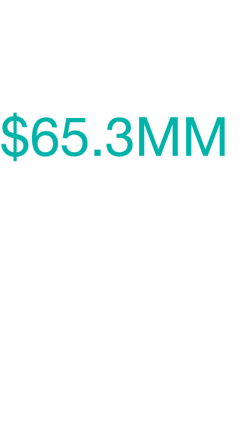In 2019, businesses achieved raw material savings of  65 3MM