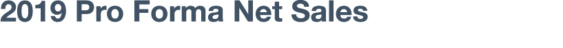 2019 Pro Forma Net Sales