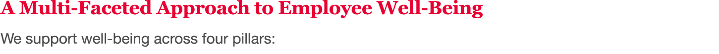 A Multi-Faceted Approach to Employee Well-Being We support well-being across four pillars: