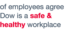 of employees agree Dow is a safe & healthy workplace