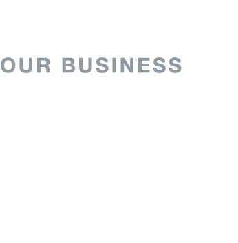  Our Business Business Overview