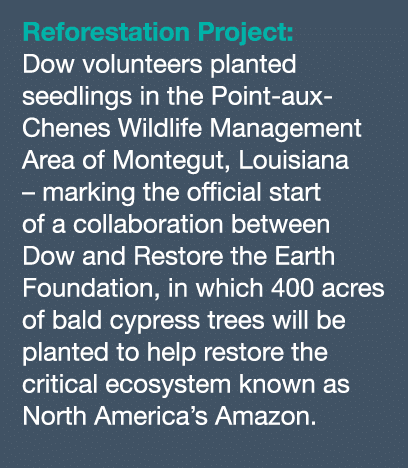 Reforestation Project: Dow volunteers planted seedlings in the Point-aux-Chenes Wildlife Management Area of Montegut,   