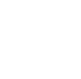  Our Sustainable Chemistry Index