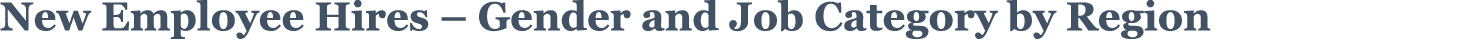New Employee Hires   Gender and Job Category by Region