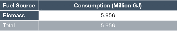 Fuel Source,Consumption (Million GJ),Biomass,5 958,Total,5 958