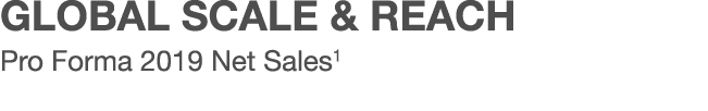 GLOBAL SCALE & REACH Pro Forma 2019 Net Sales1 