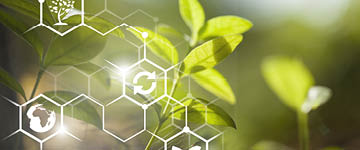 Agriculture icon web over small plants