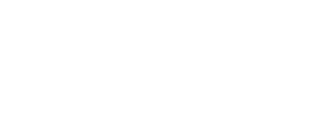 New Employee Hires by Gender