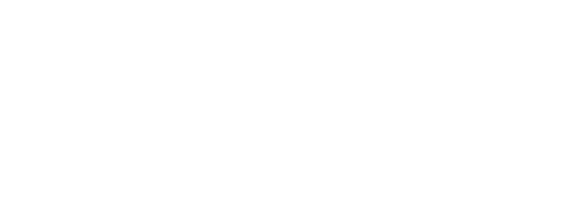 New Employee Hires and Turnover by Gender
