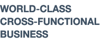 WORLD-CLASS CROSS-FUNCTIONAL BUSINESS