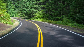 Winding black asphalt pavement with yellow road markings in the middle of pine forest