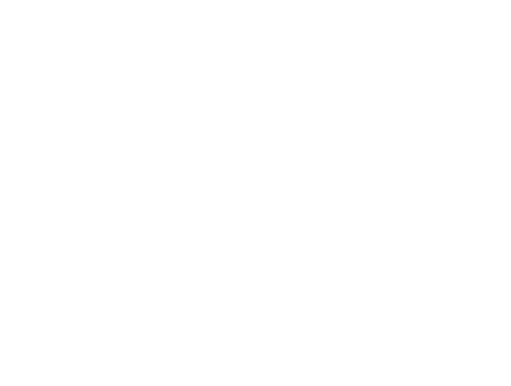 Climate Mitigation Strategies