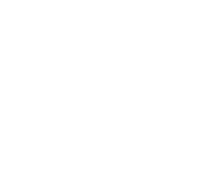 What is the Rio Declaration 
