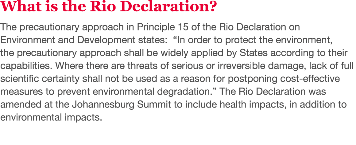 What is the Rio Declaration  The precautionary approach in Principle 15 of the Rio Declaration on Environment and Dev   