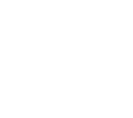 Business Risk Review Process