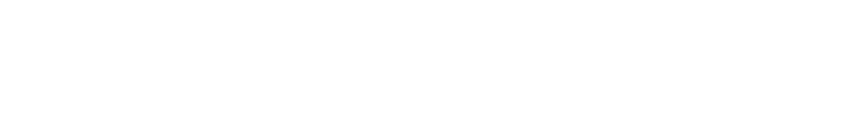 Workforce Representation by Gender   Full time and part time by Geography