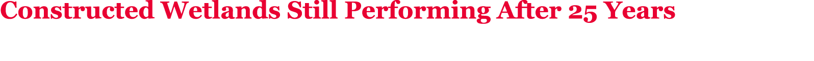 Constructed Wetlands Still Performing After 25 Years