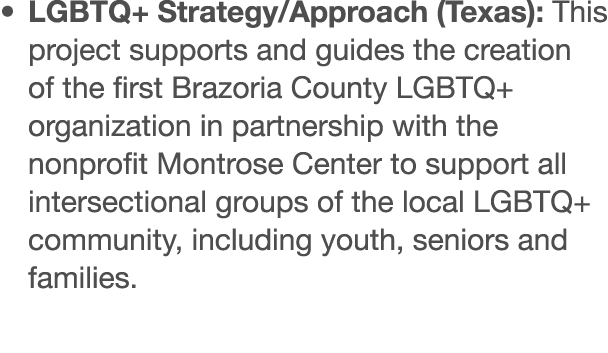   LGBTQ+ Strategy Approach (Texas): This project supports and guides the creation of the first Brazoria County LGBTQ+   