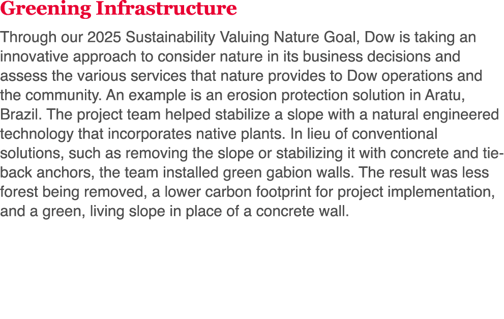 Greening Infrastructure Through our 2025 Sustainability Valuing Nature Goal, Dow is taking an innovative approach to    