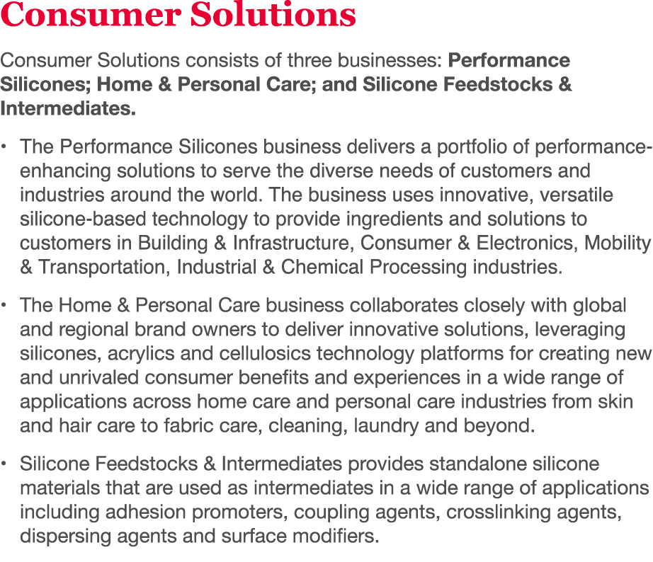  Consumer Solutions Consumer Solutions consists of three businesses: Performance Silicones; Home & Personal Care; and   