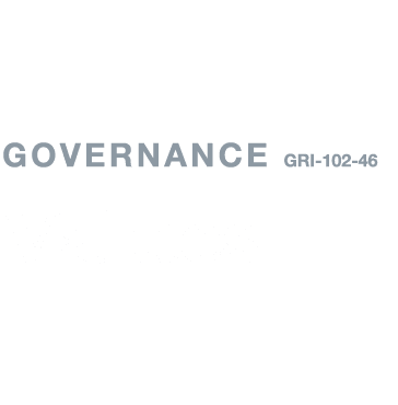  governance GRI-102-46 Values