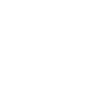Corporate Governance Committee